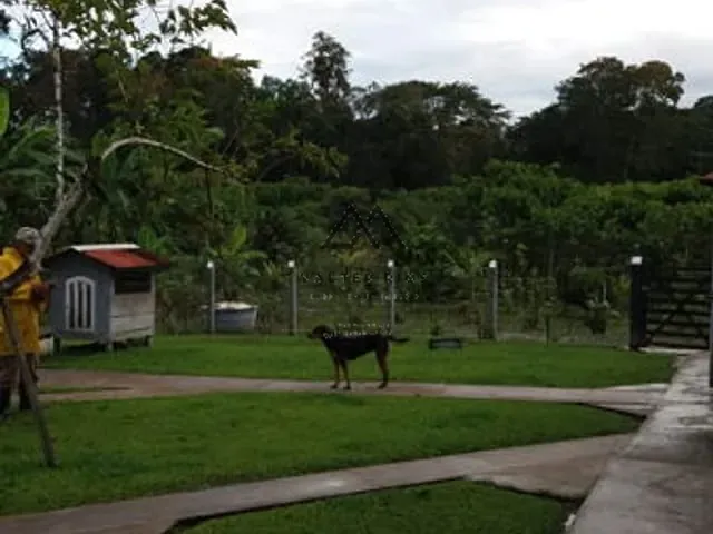 Chácara com 8000m² 5 quartos e 6 banheiros, à venda, no bairro Zona Rural em Itajuípe