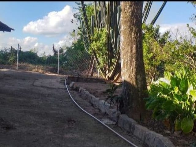 Chácara com 2000m², à venda, no bairro Jardim Primeiro de Maio em São João da Boa Vista