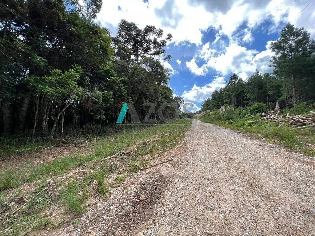 Sítio, 1 quarto, 2 hectares - Foto 23