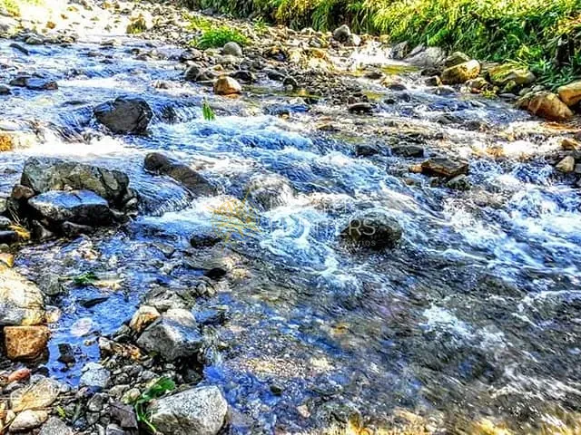 Chácara com 12496m² 3 quartos e 2 banheiros, à venda, no bairro Pirabeiraba (Pirabeiraba) em Joinville