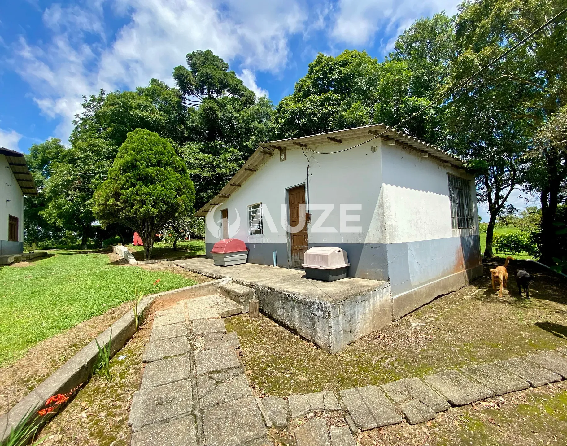 Chácara, 6 quartos, 6 hectares - Foto 19