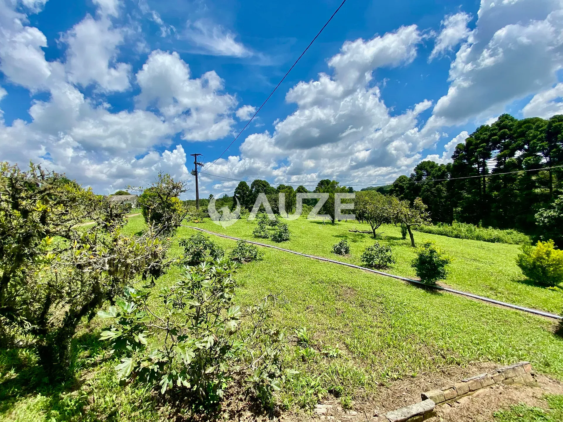 Chácara, 6 quartos, 6 hectares - Foto 11