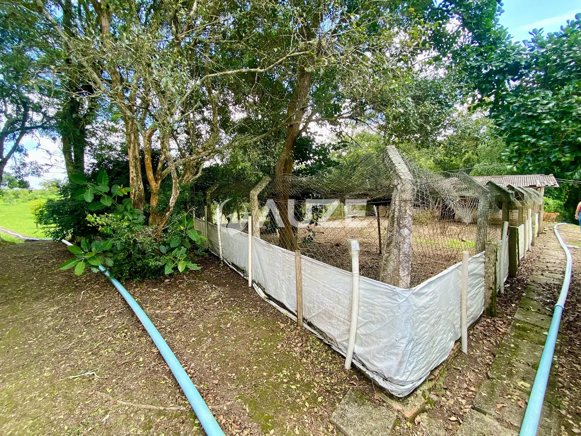 Chácara, 6 quartos, 6 hectares - Foto 18