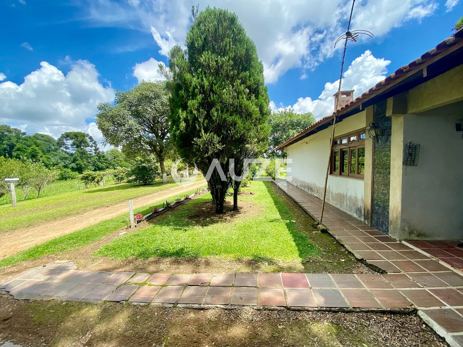 Chácara, 6 quartos, 6 hectares - Foto 12