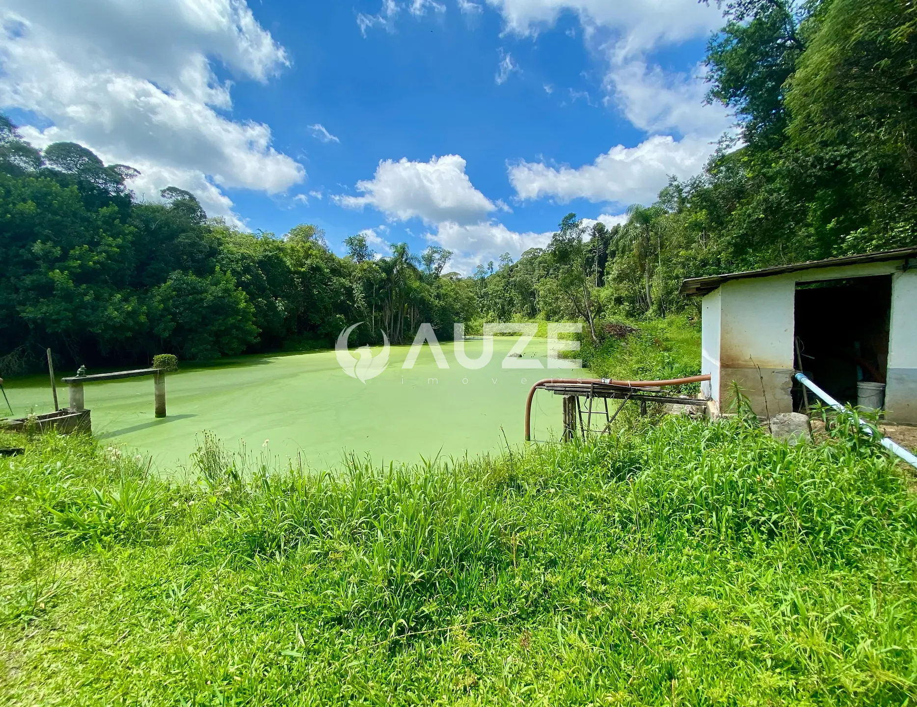 Chácara, 6 quartos, 6 hectares - Foto 17