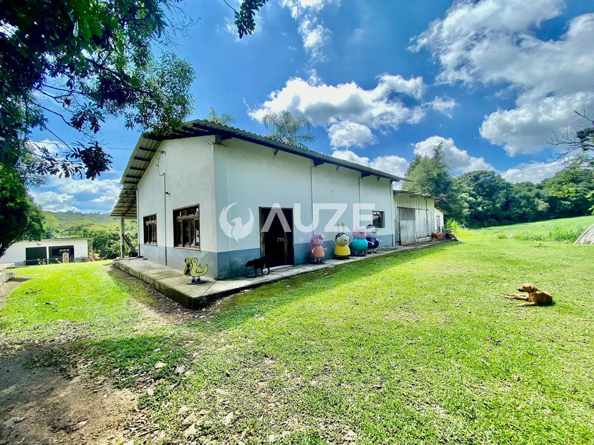 Chácara, 6 quartos, 6 hectares - Foto 27