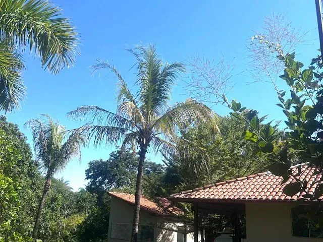 Chácara com 5035m² 2 quartos e 3 banheiros, à venda, no bairro Morada do Sol em Uberlândia