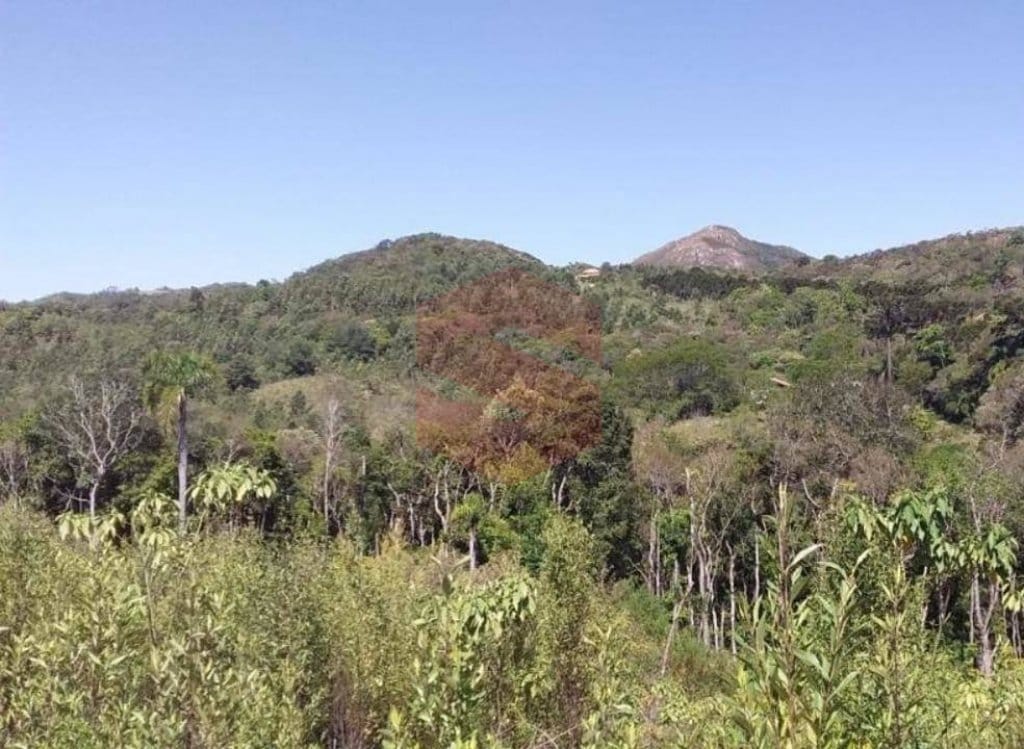 https://static.arboimoveis.com.br/CH0016_SLTI/area-para-formacao-de-chacara-apenas-km-do-centro-de-campo-largo1627673071753tqcwh.jpg