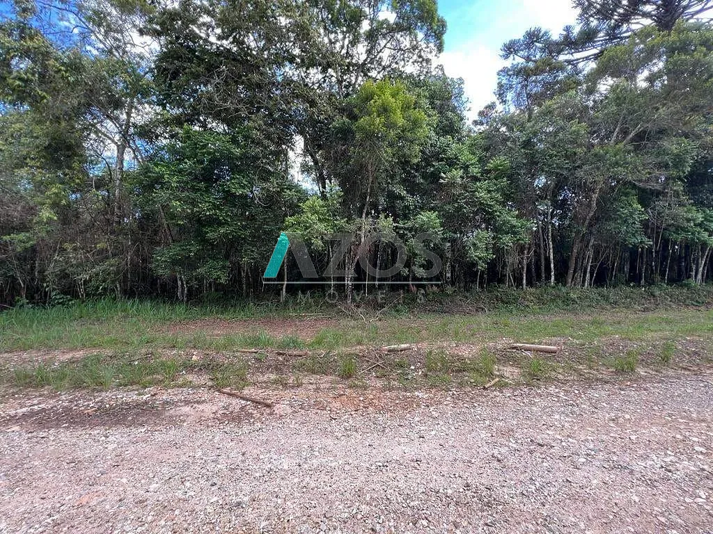 Sítio, 1 quarto, 10 m² - Foto 27