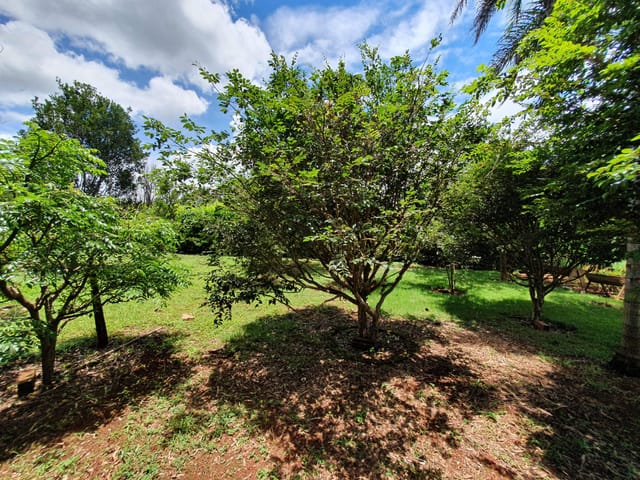 Chácara à venda, Fazenda Retiro, Goiânia, GO