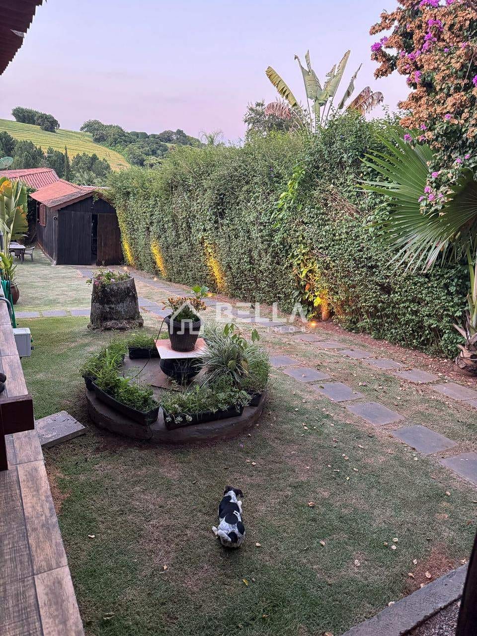 Chácara para alugar com 4 quartos, 350m² - Foto 53