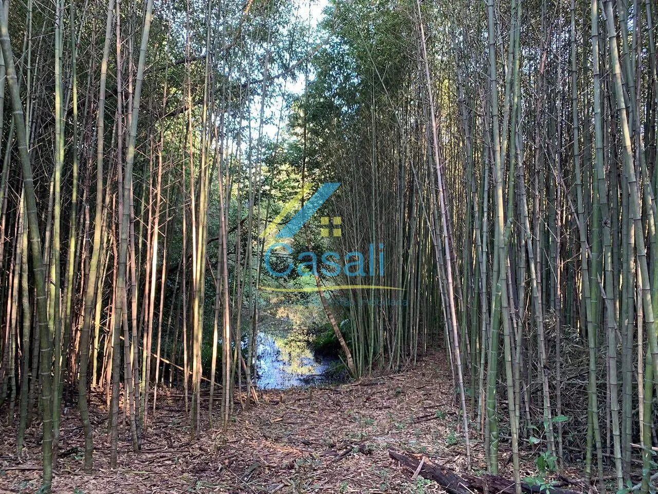 Chácara, 3 quartos, 2 hectares - Foto 35