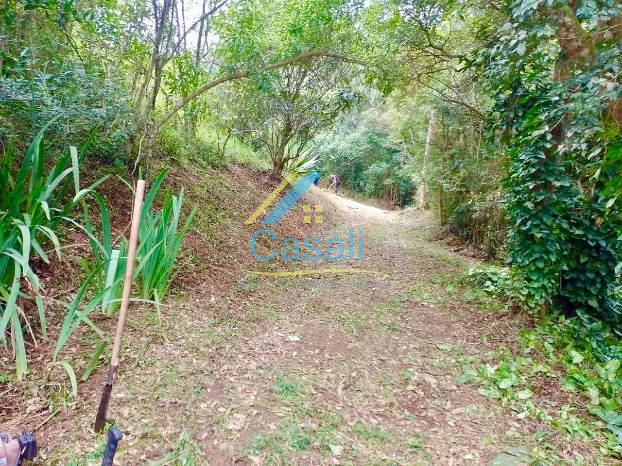 Chácara, 3 quartos, 2 hectares - Foto 36