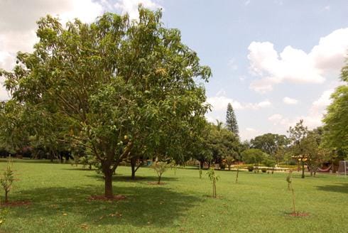 Chácara à venda 4 Quartos, 4 Suítes, Recanto Campestre, Indaiatuba - SP
