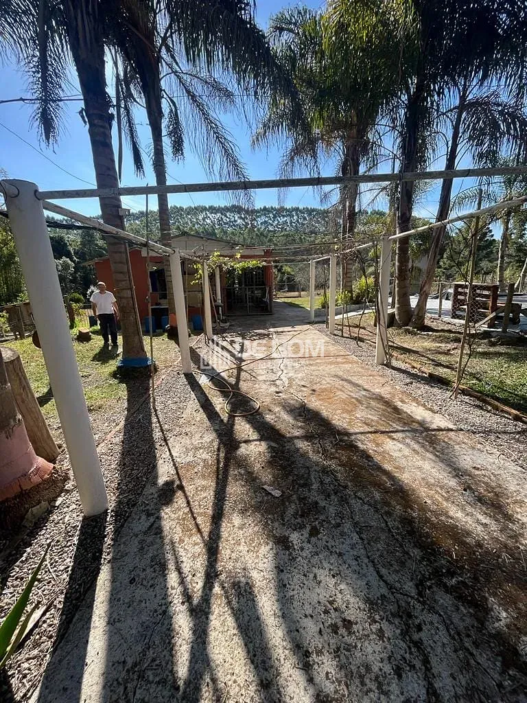 Chácara, 2 quartos, 5628 m² - Foto 5