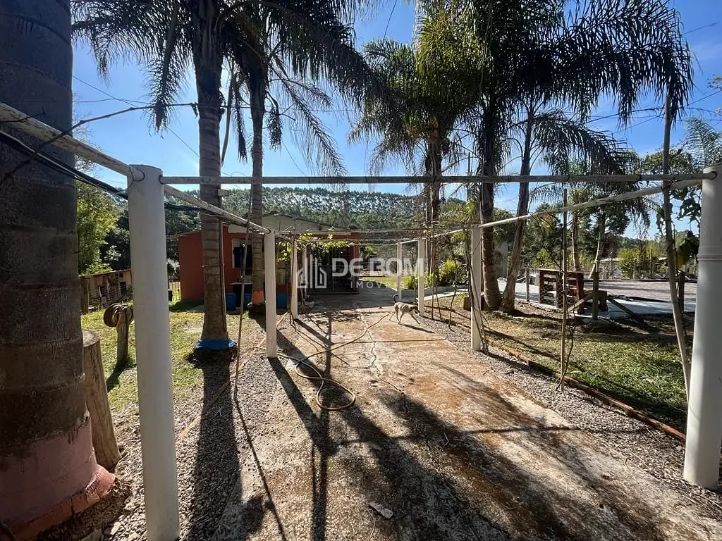 Chácara, 2 quartos, 5628 m² - Foto 4