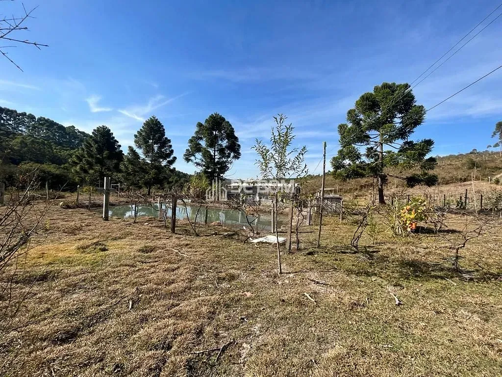 Chácara, 2 quartos, 5628 m² - Foto 13