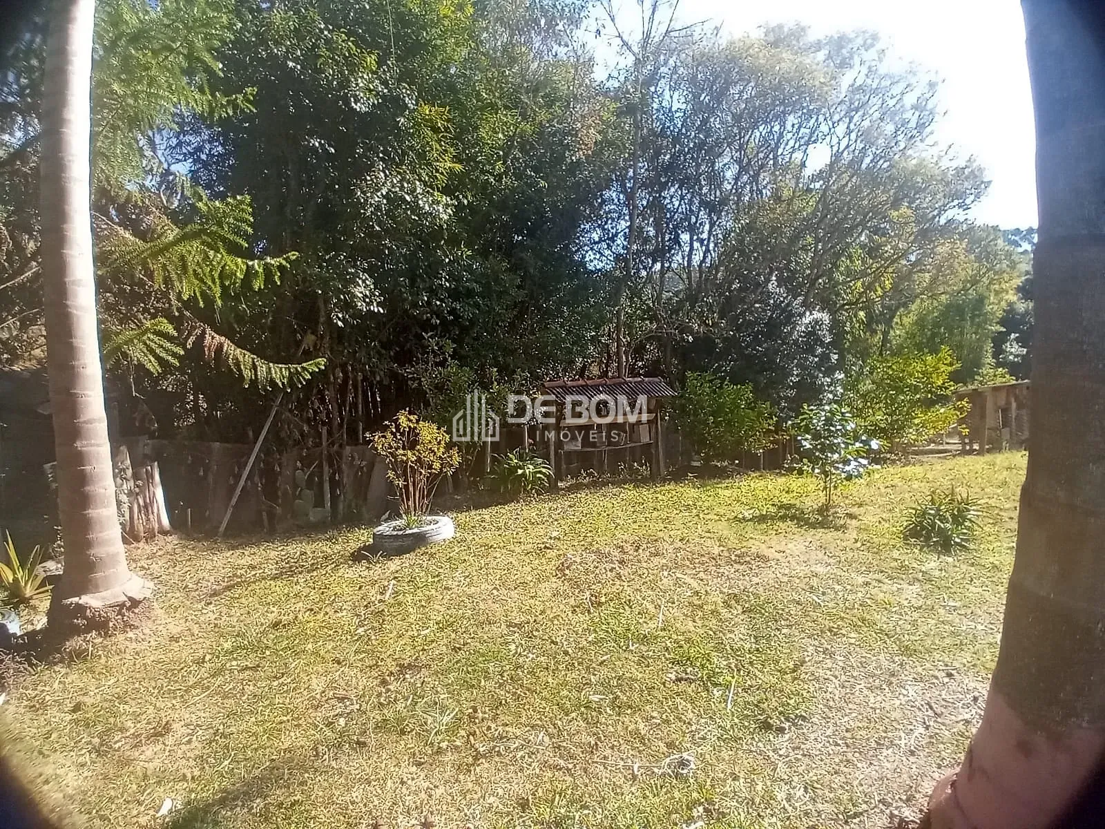 Chácara, 2 quartos, 5628 m² - Foto 9