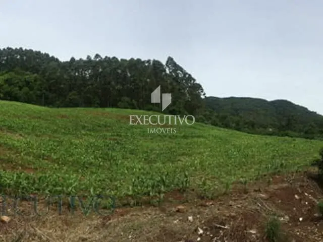 Chácara com 95000m², à venda, no bairro Linha São Jacó em Capitão