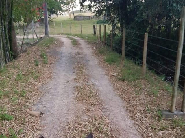 Foto do Chácara - Chácara à venda 3 Quartos, 10 Vagas, 1680000M², Setor Central, São Miguel do Passa Quatro - GO | HOUSE & AVIATION IMOBILIÁRIA