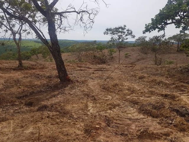 Foto do Chácara - Chácara à venda 3 Quartos, 10 Vagas, 1680000M², Setor Central, São Miguel do Passa Quatro - GO | HOUSE & AVIATION IMOBILIÁRIA