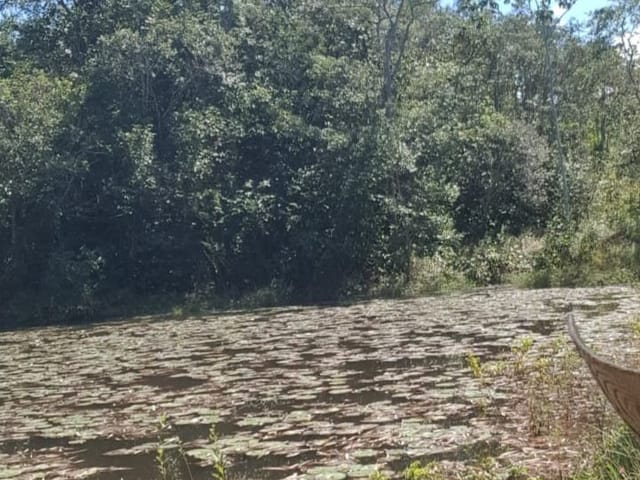 Foto do Chácara - Chácara à venda 3 Quartos, 10 Vagas, 1680000M², Setor Central, São Miguel do Passa Quatro - GO | HOUSE & AVIATION IMOBILIÁRIA