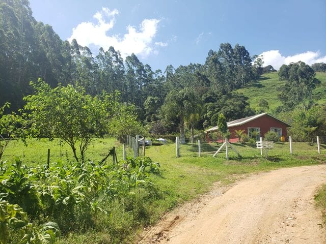Foto do Chácara - Linda chácara à venda com casa de 3 dormitórios no bairro Rio Fortuna na cidade de  Angelina. Não perca esta oportunidade! | Michelli Lima da Silva