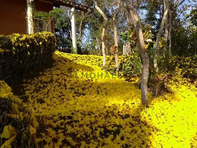 Chácara com 2400m² 4 quartos e 2 banheiros, à venda, no bairro Centro em Piranguinho