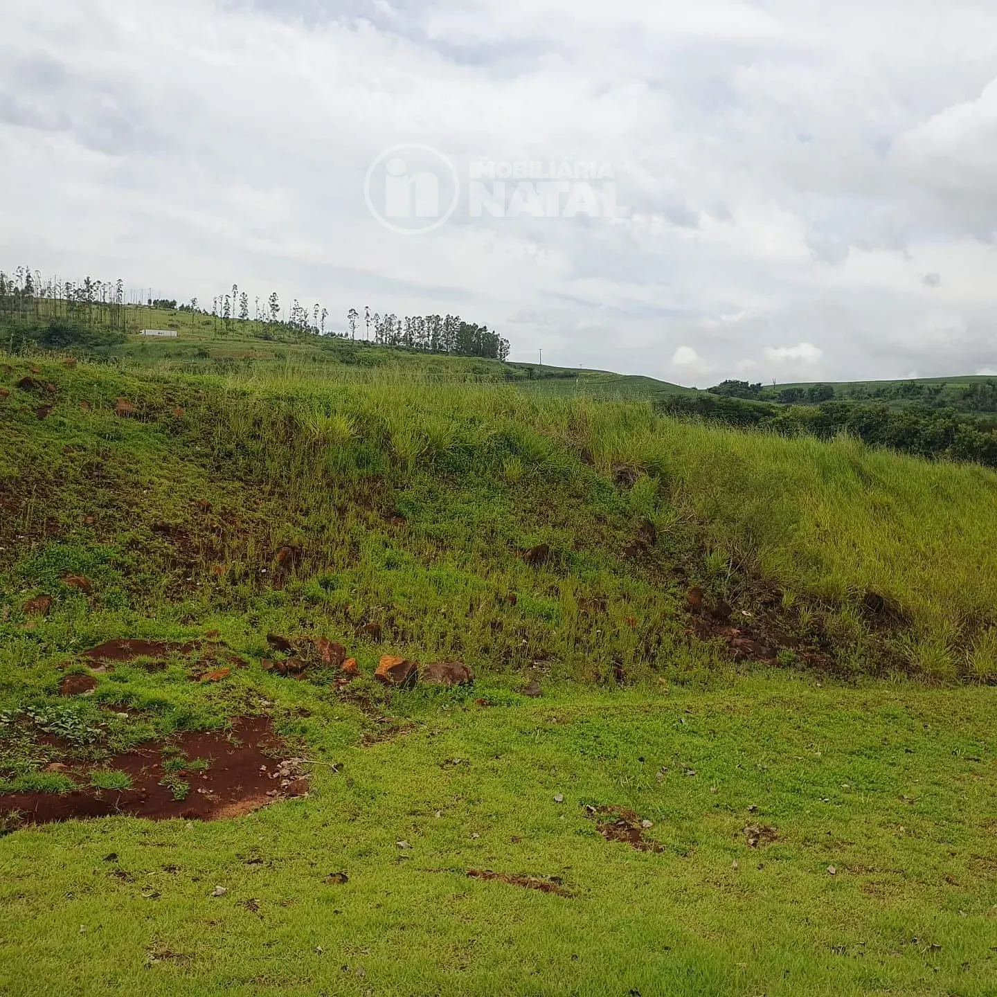 Terreno, 1500 m² - Foto 15