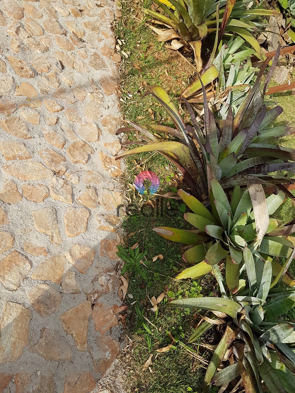 Chácara à venda e aluguel com 1 quarto, 180m² - Foto 57