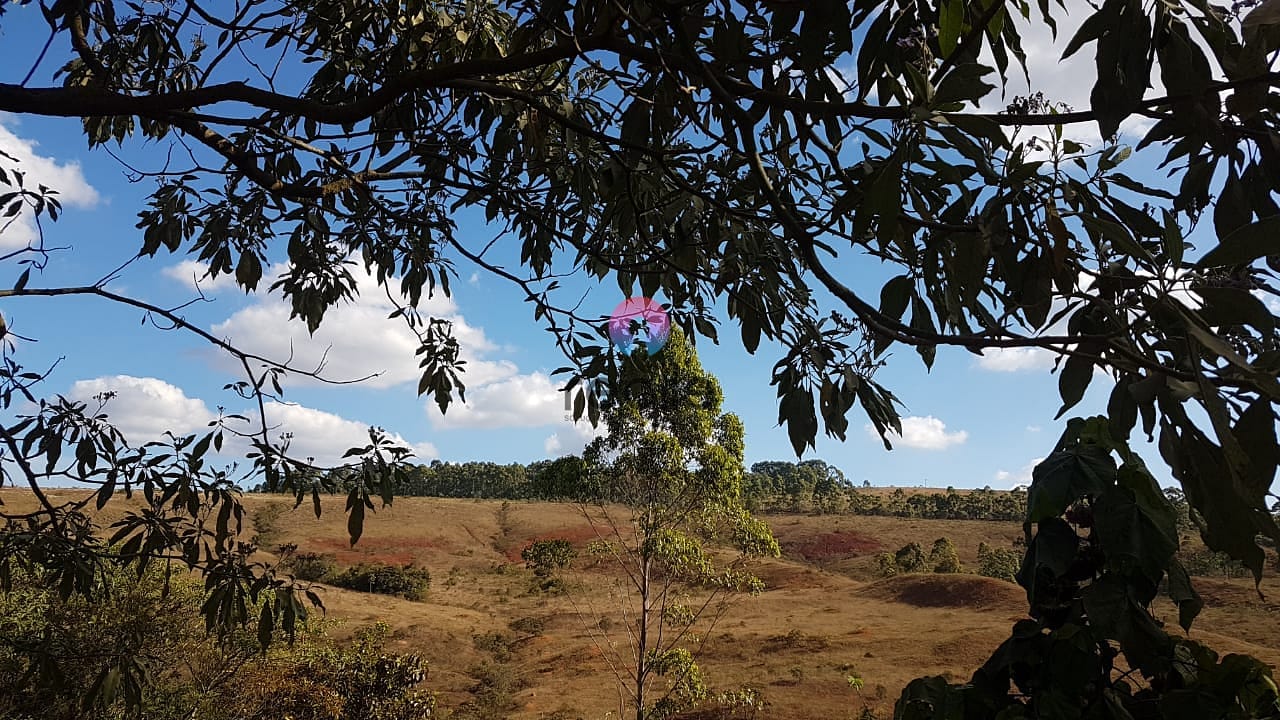 Chácara à venda e aluguel com 1 quarto, 180m² - Foto 41