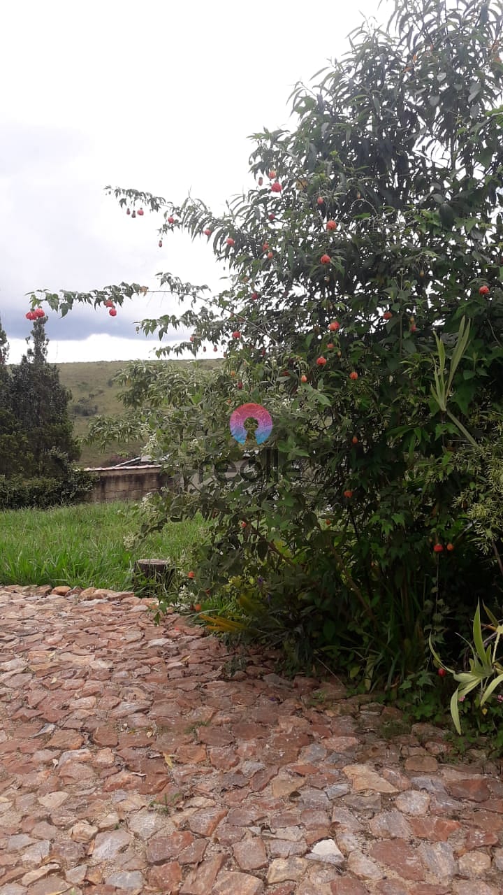 Chácara à venda e aluguel com 1 quarto, 180m² - Foto 59