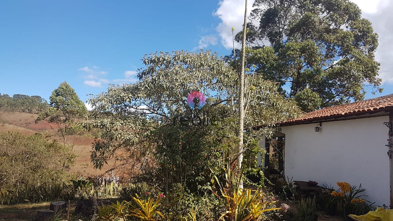 Chácara à venda e aluguel com 1 quarto, 180m² - Foto 51