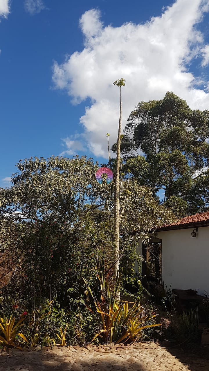 Chácara à venda e aluguel com 1 quarto, 180m² - Foto 72