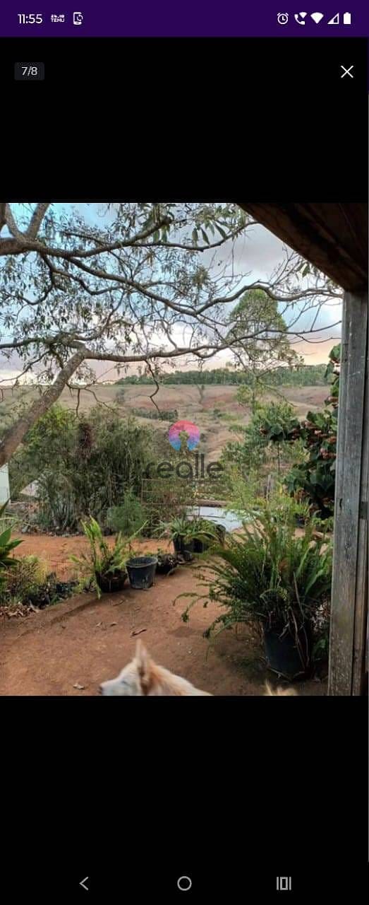 Chácara à venda e aluguel com 1 quarto, 180m² - Foto 77