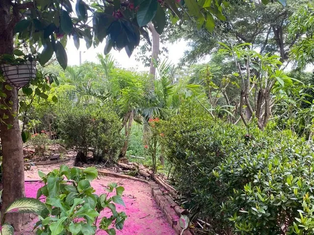 Foto do Chácara - SÍTIO EM JOSÉ DE FREITAS | IMOBILIÁRIA ROCHA FILHO