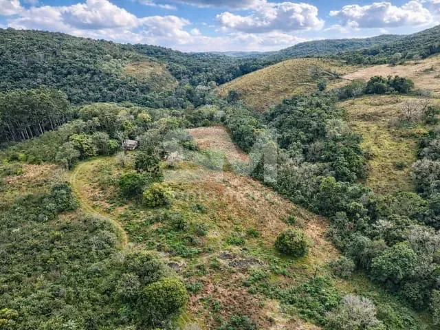 Chácara com 42600m² 2 quartos e 1 banheiro, à venda, no bairro Nova Teutônia em Seara
