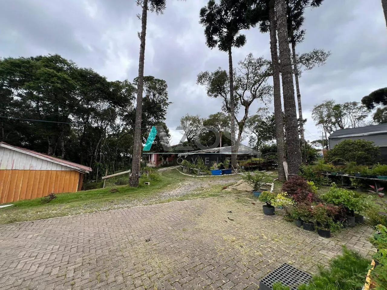 Sítio, 5 quartos, 8000 m² - Foto 58