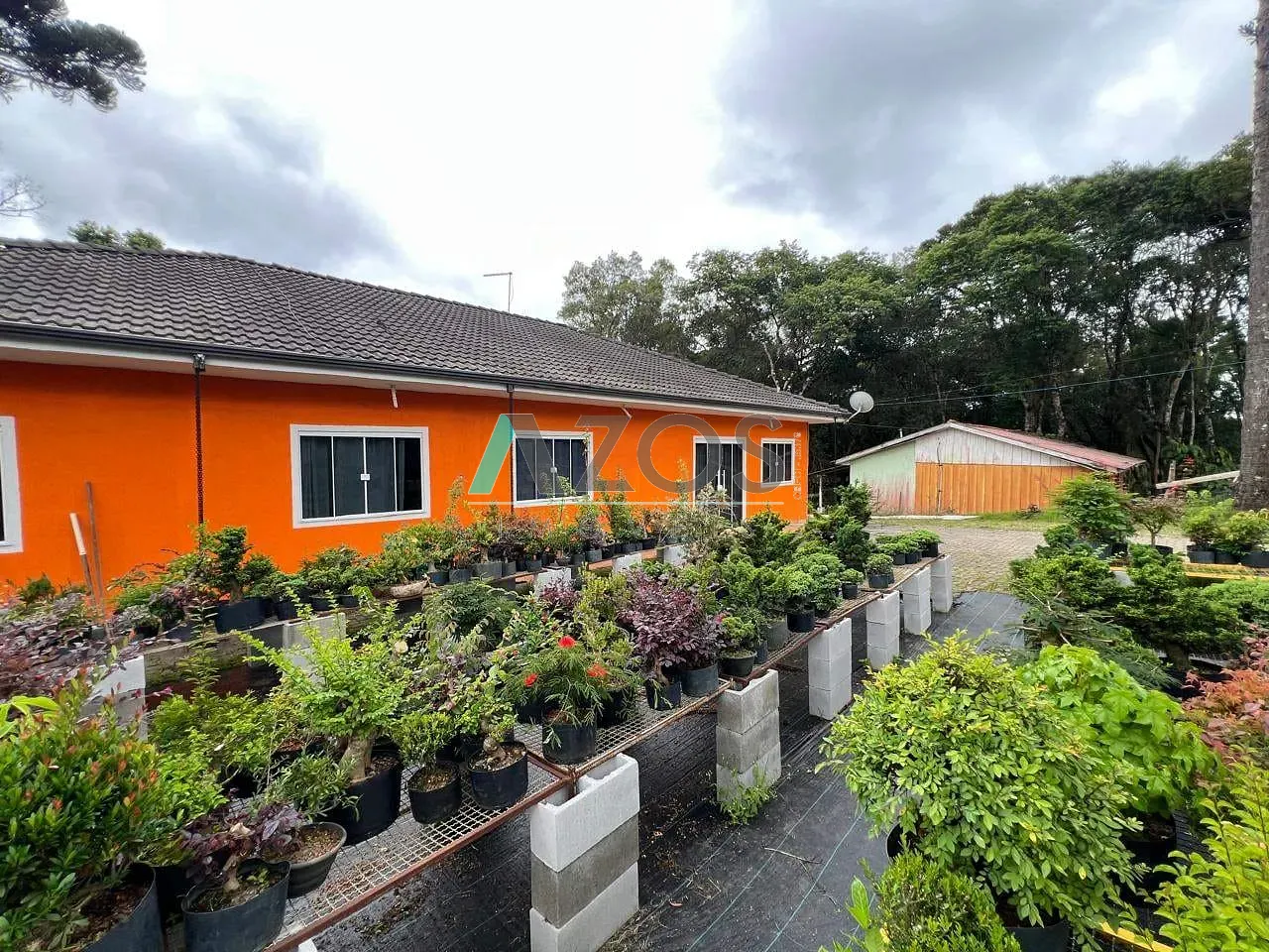 Sítio, 5 quartos, 8000 m² - Foto 6