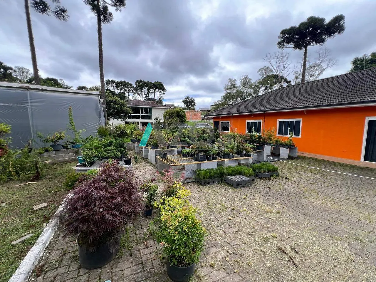 Sítio, 5 quartos, 8000 m² - Foto 50