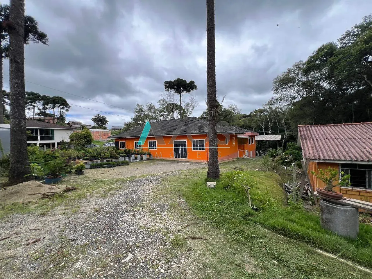 Sítio, 5 quartos, 8000 m² - Foto 4