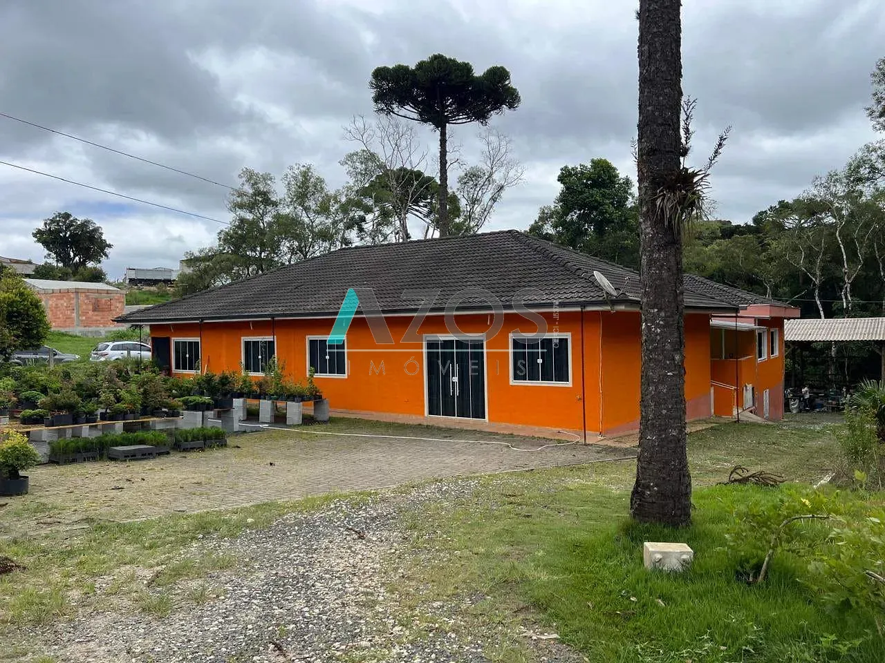 Sítio, 5 quartos, 8000 m² - Foto 1