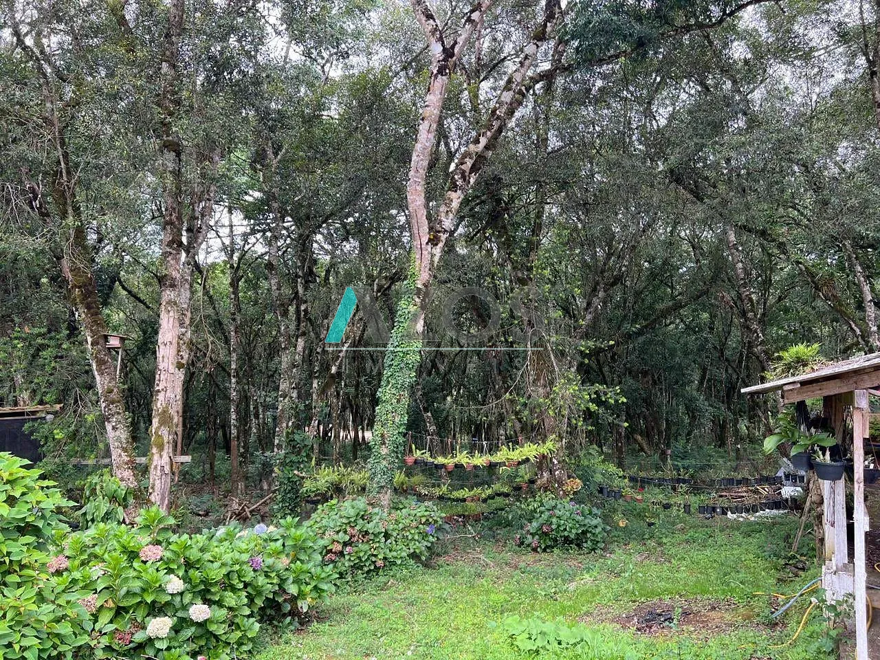 Sítio, 5 quartos, 8000 m² - Foto 56