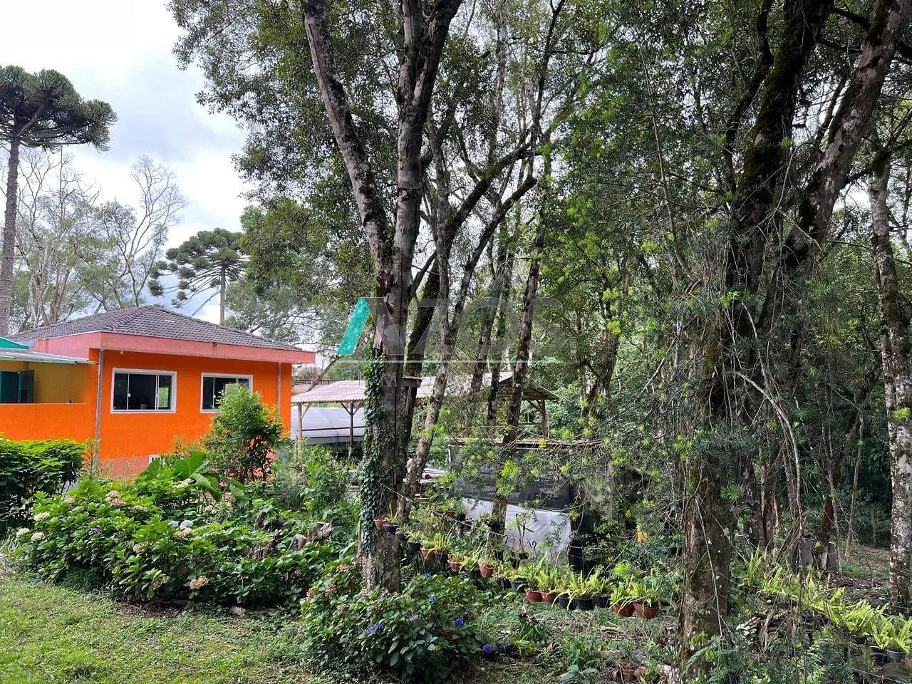 Sítio, 5 quartos, 8000 m² - Foto 57