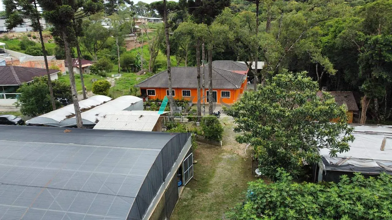 Sítio, 5 quartos, 8000 m² - Foto 7