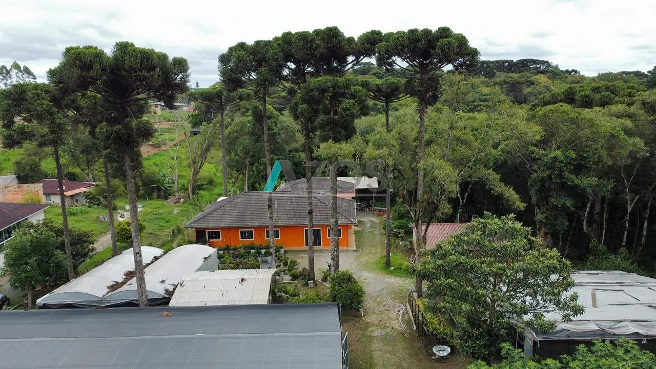 Sítio, 5 quartos, 8000 m² - Foto 47
