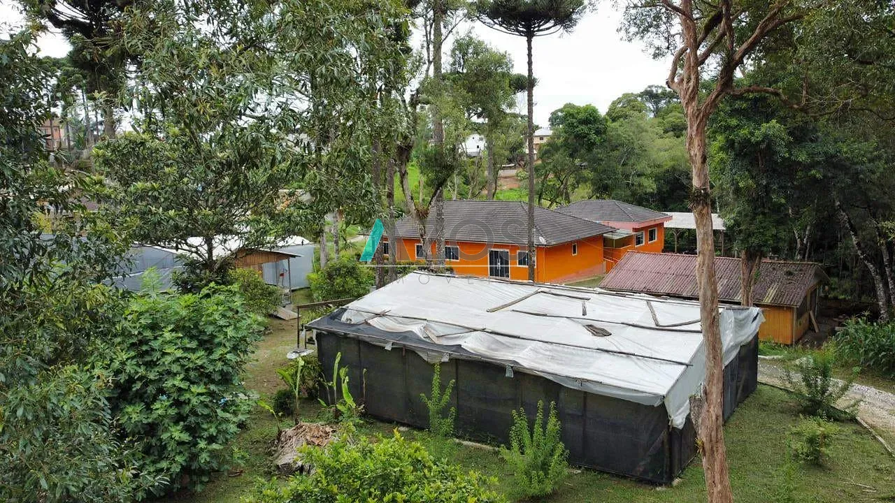 Sítio, 5 quartos, 8000 m² - Foto 48