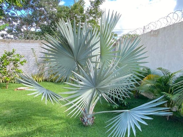 Chácara à venda, Chão de Estrelas, Aragoiânia, GO