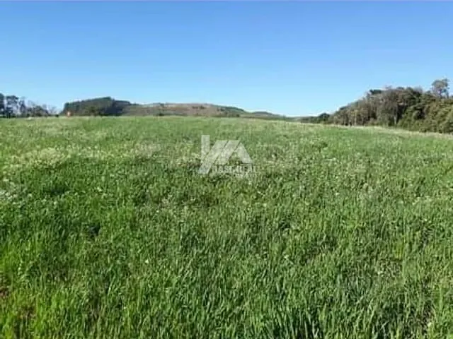 Chácara com 56000m² 3 quartos e 1 banheiro, à venda, no bairro Zona Rural em Campina do Simão