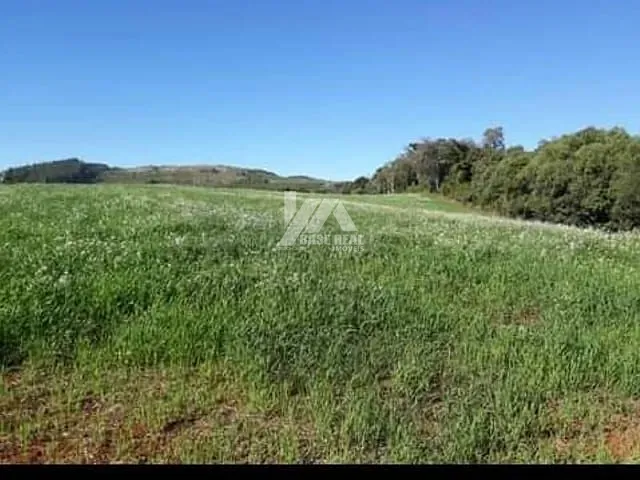 Chácara com 56000m² 3 quartos e 1 banheiro, à venda, no bairro Zona Rural em Campina do Simão